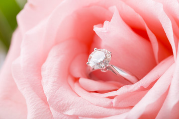Pink Rose with diamond ring