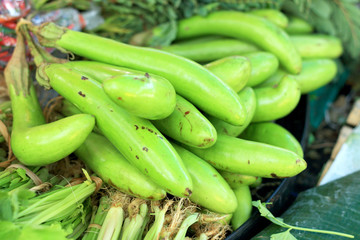 green eggplant in the market