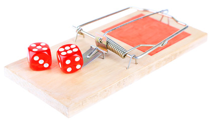 Mousetrap with dices isolated on white