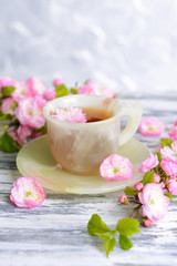 Fototapeta na wymiar Beautiful fruit blossom with cup of tea