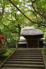 円覚寺　居士林の石段
