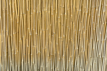 Wooden texture close-up