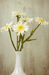 Daisy bouquet