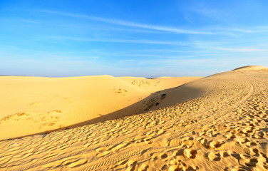 Deserts Landscape