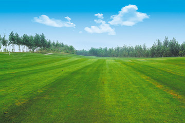 골프장 풍경