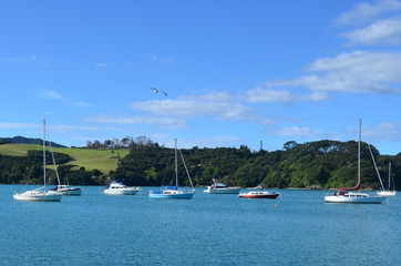 Fototapeta na wymiar Mill bay in Mangonui harbor - New Zealand