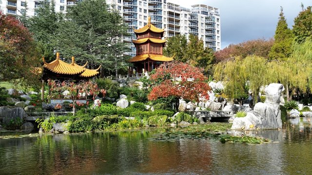 Jardin chinois, Sydney