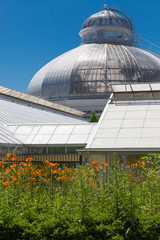 Fototapeta premium Low angle view of a greenhouse, Allan Gardens, Toronto, Ontario,