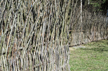 Fence from the weaved branches, a close up