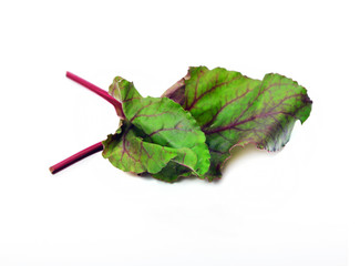 Food  ingredient Mangold