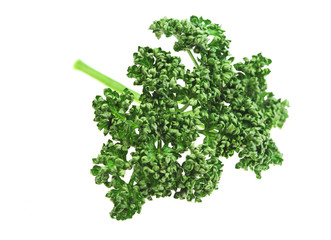 Food  ingredient parsley