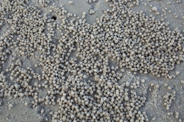 Beach in Summertime