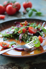 Fresh salad with tasty vegetables on a plate