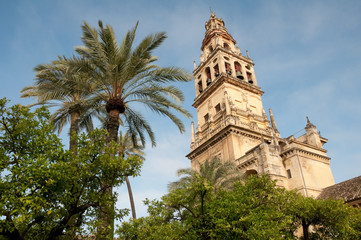 Fototapeta na wymiar Mezquita-Katedra w Kordobie (Hiszpania)
