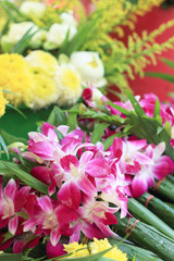 Fototapeta premium Pink orchids tied together at the market.