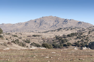 Dehesa de Navalvillar, Colmenar Viejo, Madrid, Spain