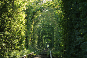 tunnel of love © digitalmagus
