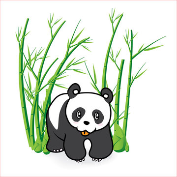 Panda 04