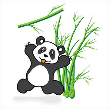 Panda 05