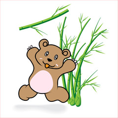 Bear 05