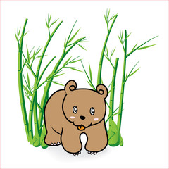 Bear 04