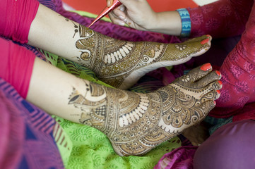 applying henna , bride, wedding ,Rajasthan, India
