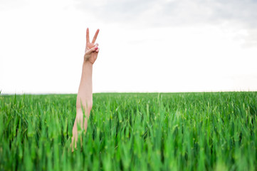 Woman hand making the victory sign