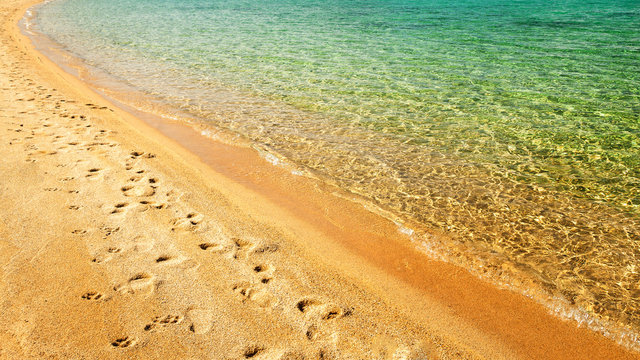 beach, wave and footsteps at sunset time