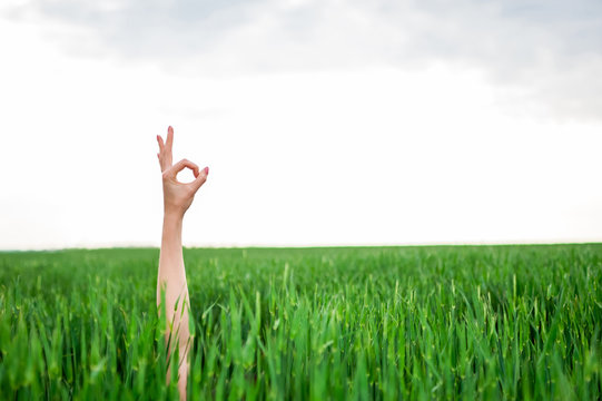 Closeup Of A Woman's Hand Making Ok Or Zero Sign