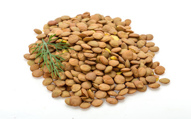 Raw lentils