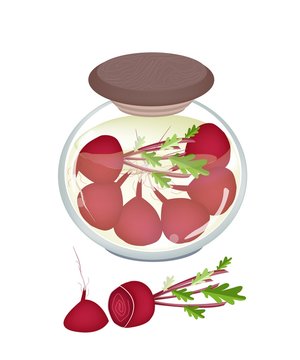 pickled beets in jar, red, fresh clip art preview