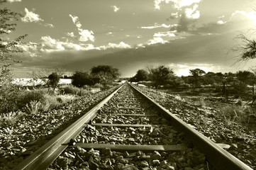 Railway tracks running through South African bushveld - 64709468