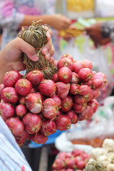 Shallot - asia red onion in the market