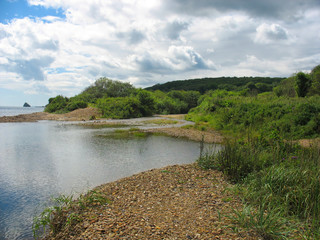 Fototapeta premium Small estuary near the sea. Summer landscape