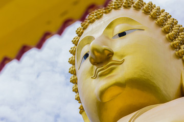 the face Buddha
