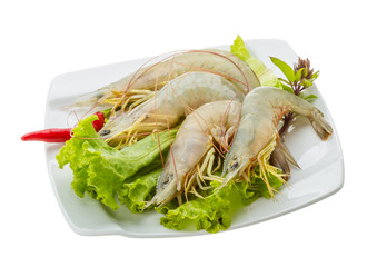 Raw tiger shrimps