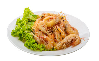 Big tiger shrimps