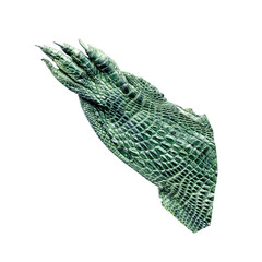 green leather hand crocodile isolated on white