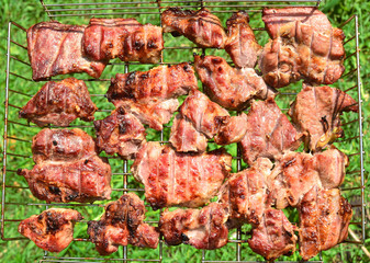 Grilled meat