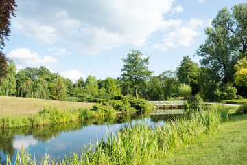 Landscape with trees and grass, reflecting in the water, Potsdam © villy_yovcheva