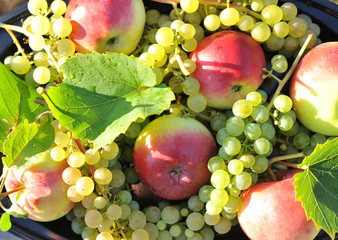 Apples and grapes on the flat outside
