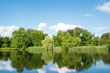 Fototapeta na wymiar Landscape with trees, reflecting in the water, Potsdam, Germany