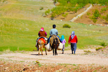 tarlada &ccedil;alışmaya giden emektarlar