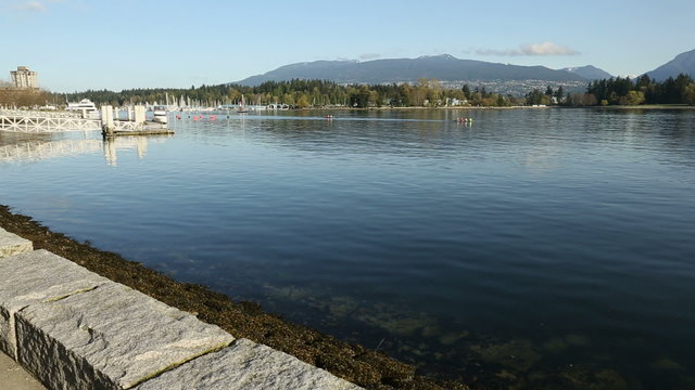 Coal Harbor Rowing Teams, Vancouver