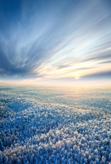 Top view of winter forest