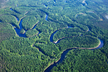 Top view on forest river