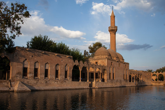 pool of Abraham, Şanlıurfa