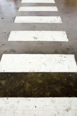 Fototapeta premium Crosswalk on the polished cement floor