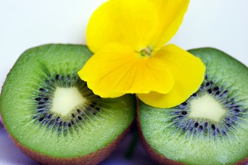 Kiwi mit Blume