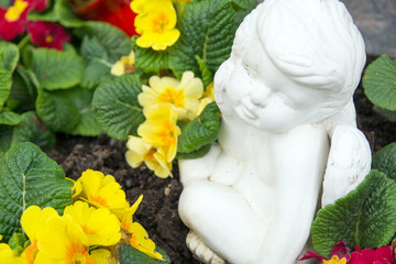 Engel auf einem Friedhof